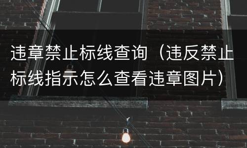 违章禁止标线查询（违反禁止标线指示怎么查看违章图片）