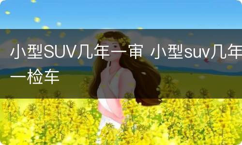 小型SUV几年一审 小型suv几年一检车