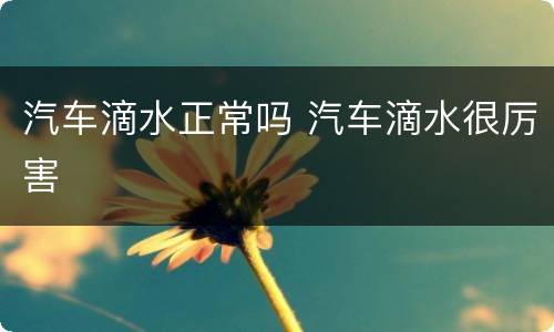 汽车滴水正常吗 汽车滴水很厉害