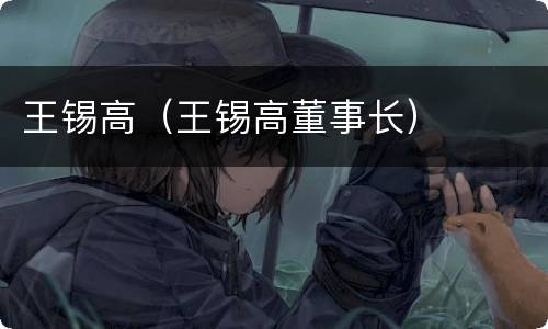 王锡高（王锡高董事长）