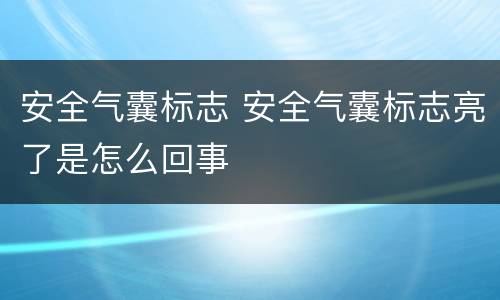 安全气囊标志 安全气囊标志亮了是怎么回事
