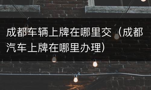 成都车辆上牌在哪里交（成都汽车上牌在哪里办理）