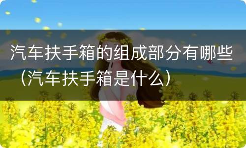 汽车扶手箱的组成部分有哪些（汽车扶手箱是什么）
