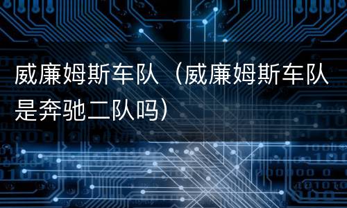 威廉姆斯车队（威廉姆斯车队是奔驰二队吗）