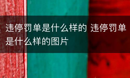 违停罚单是什么样的 违停罚单是什么样的图片