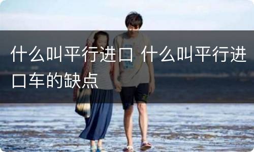 什么叫平行进口 什么叫平行进口车的缺点