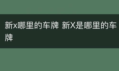 新x哪里的车牌 新X是哪里的车牌