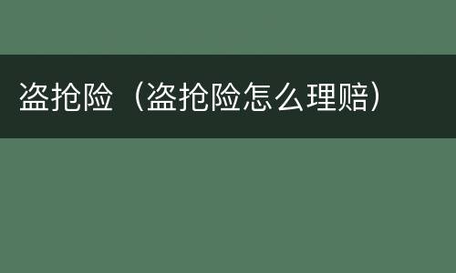 盗抢险（盗抢险怎么理赔）