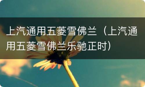 上汽通用五菱雪佛兰（上汽通用五菱雪佛兰乐驰正时）