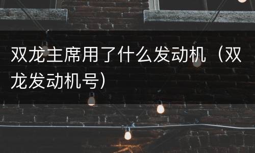 双龙主席用了什么发动机（双龙发动机号）