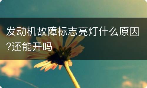 发动机故障标志亮灯什么原因?还能开吗