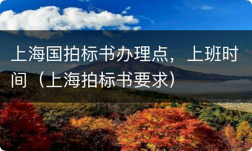 上海国拍标书办理点，上班时间（上海拍标书要求）
