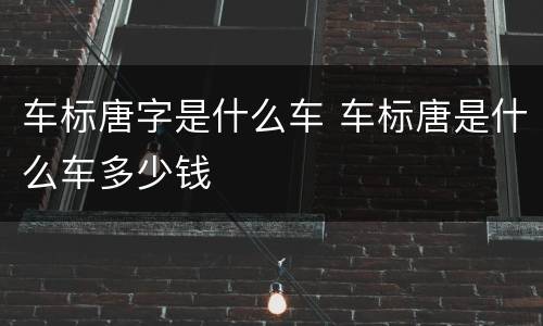 车标唐字是什么车 车标唐是什么车多少钱