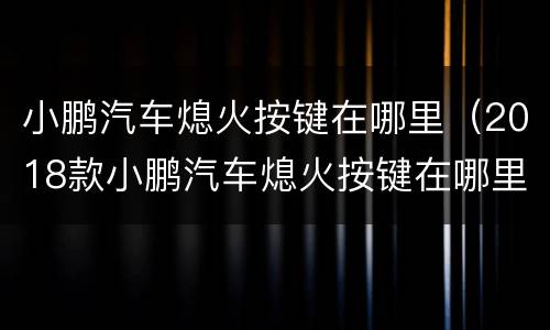 小鹏汽车熄火按键在哪里（2018款小鹏汽车熄火按键在哪里）