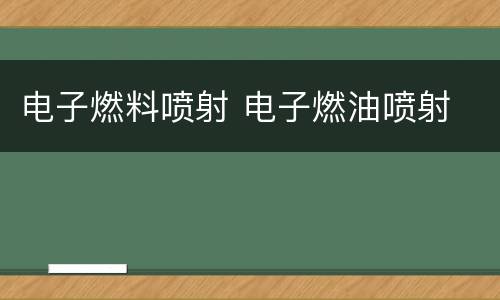 电子燃料喷射 电子燃油喷射