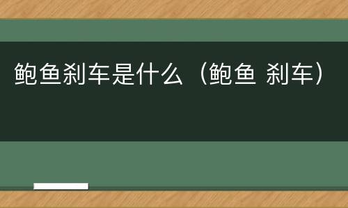 鲍鱼刹车是什么（鲍鱼 刹车）
