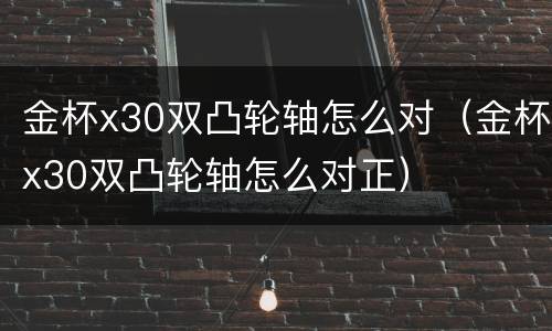 金杯x30双凸轮轴怎么对（金杯x30双凸轮轴怎么对正）