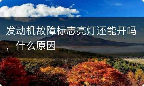 发动机故障标志亮灯还能开吗，什么原因