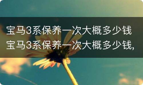 宝马3系保养一次大概多少钱 宝马3系保养一次大概多少钱,用什么机油