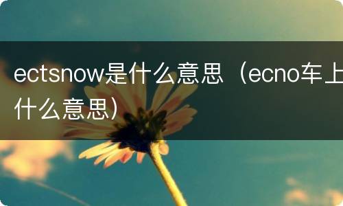 ectsnow是什么意思（ecno车上什么意思）