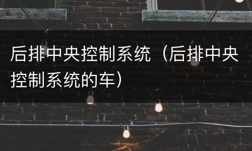 后排中央控制系统（后排中央控制系统的车）