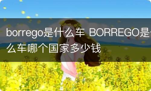 borrego是什么车 BORREGO是什么车哪个国家多少钱