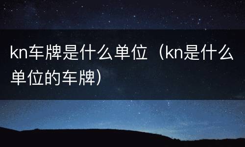 kn车牌是什么单位（kn是什么单位的车牌）
