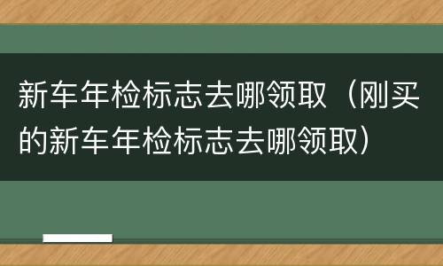 新车年检标志去哪领取（刚买的新车年检标志去哪领取）