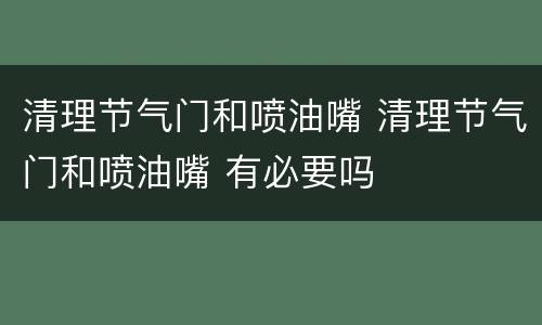 清理节气门和喷油嘴 清理节气门和喷油嘴 有必要吗