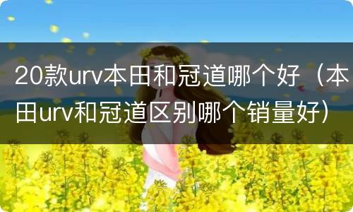20款urv本田和冠道哪个好（本田urv和冠道区别哪个销量好）