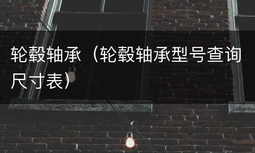 轮毂轴承（轮毂轴承型号查询尺寸表）