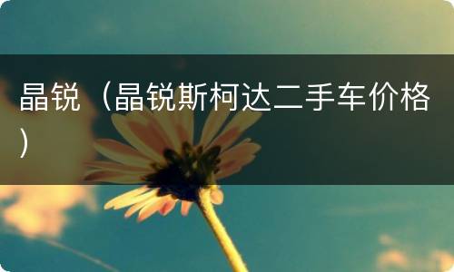 晶锐（晶锐斯柯达二手车价格）