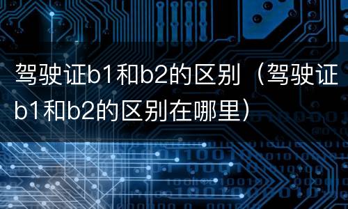 驾驶证b1和b2的区别（驾驶证b1和b2的区别在哪里）