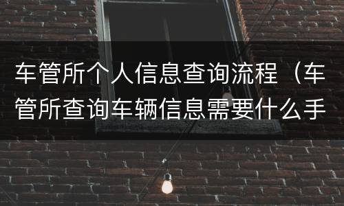 车管所个人信息查询流程（车管所查询车辆信息需要什么手续）