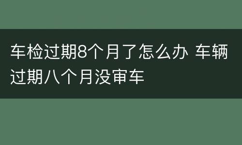 车检过期8个月了怎么办 车辆过期八个月没审车