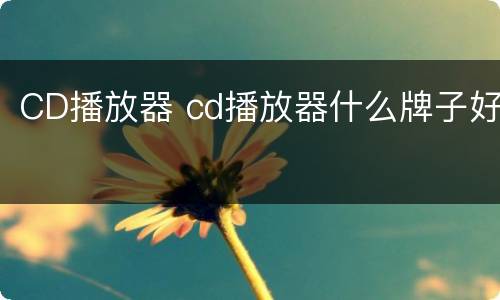 CD播放器 cd播放器什么牌子好