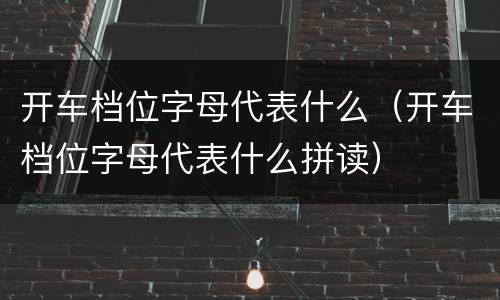 开车档位字母代表什么（开车档位字母代表什么拼读）