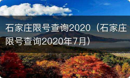 石家庄限号查询2020（石家庄限号查询2020年7月）