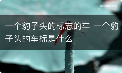 一个豹子头的标志的车 一个豹子头的车标是什么
