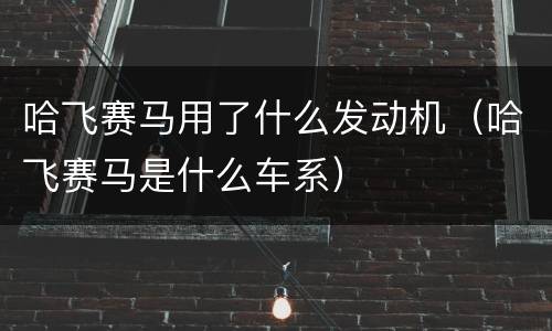哈飞赛马用了什么发动机（哈飞赛马是什么车系）