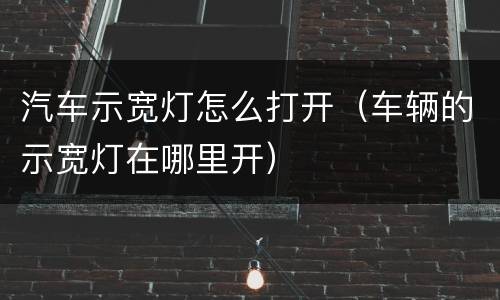 汽车示宽灯怎么打开（车辆的示宽灯在哪里开）