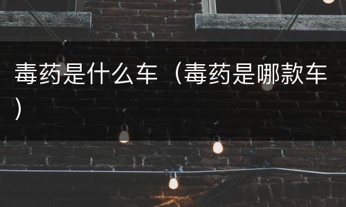 毒药是什么车（毒药是哪款车）