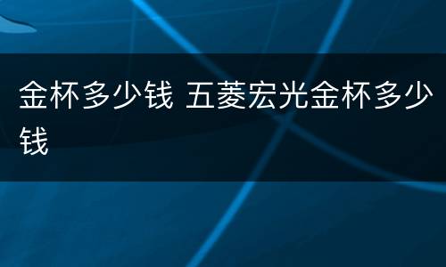 金杯多少钱 五菱宏光金杯多少钱