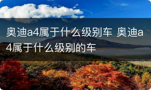 奥迪a4属于什么级别车 奥迪a4属于什么级别的车