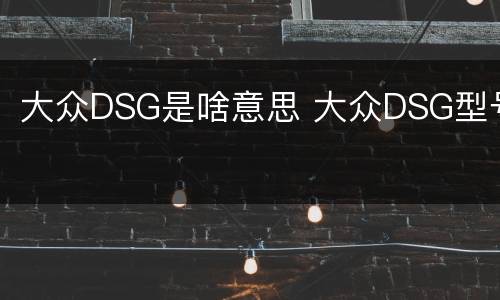 大众DSG是啥意思 大众DSG型号