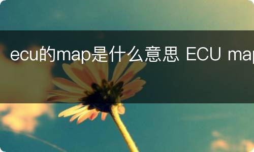 ecu的map是什么意思 ECU map