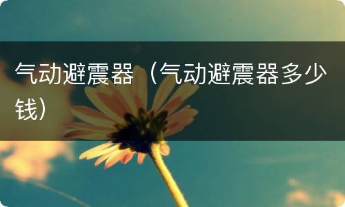 气动避震器（气动避震器多少钱）