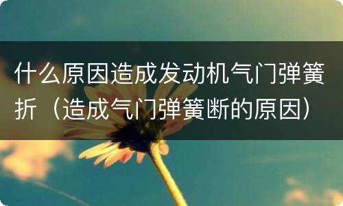 什么原因造成发动机气门弹簧折（造成气门弹簧断的原因）