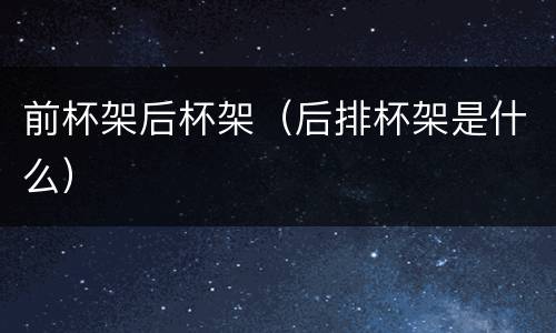 前杯架后杯架（后排杯架是什么）