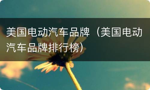 美国电动汽车品牌（美国电动汽车品牌排行榜）